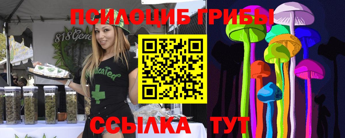 Галлюциногенные грибы прущие грибы Сухой Лог