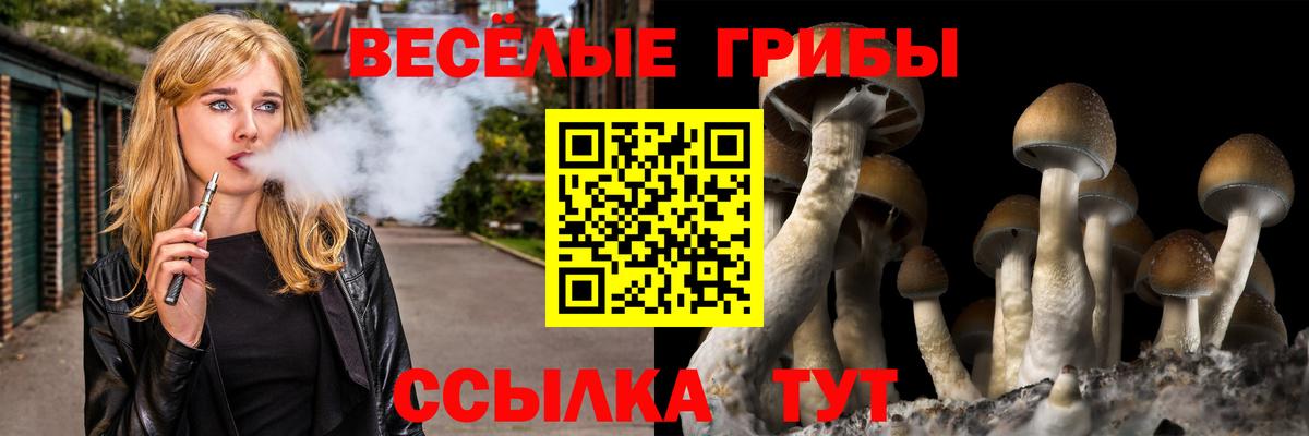 Галлюциногенные грибы мицелий  где купить   Сухой Лог  Галлюциногенные грибы прущие грибы  Вход с VPN 